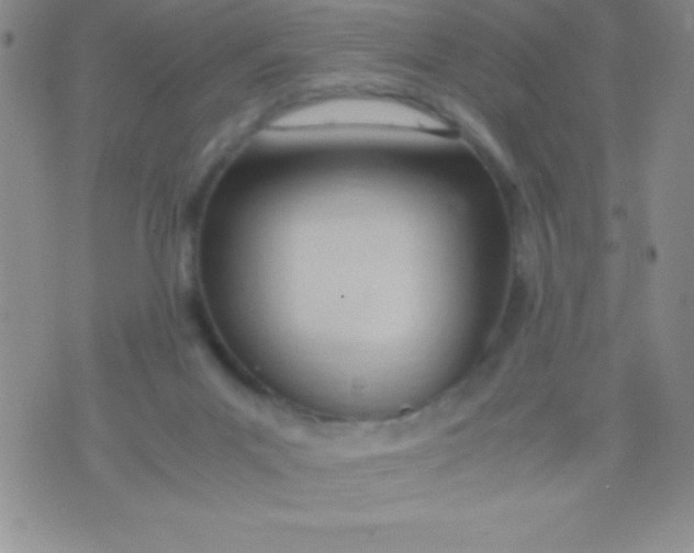 X0000071950023200607282019