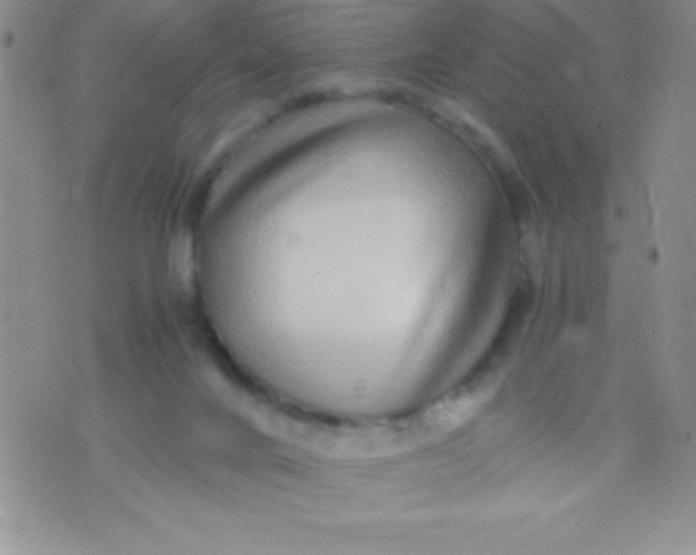 X0000071950024200607282019