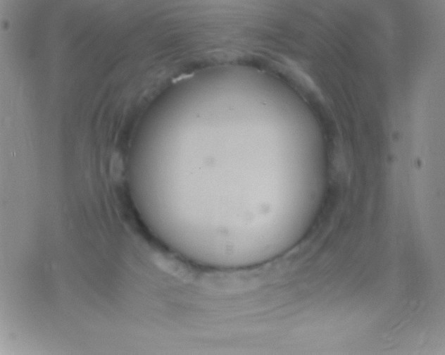 X0000071950025200607282019