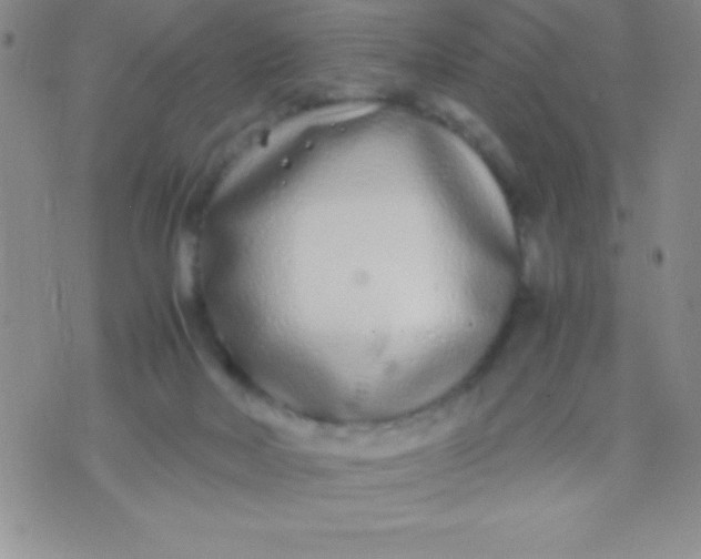 X0000071950026200607282019