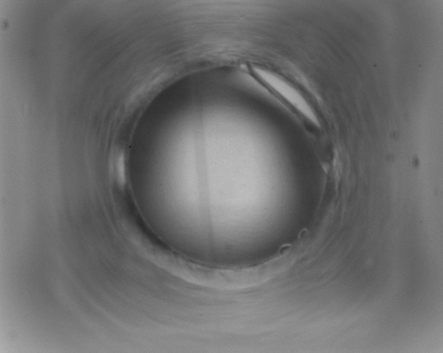 X0000071950027200607282019