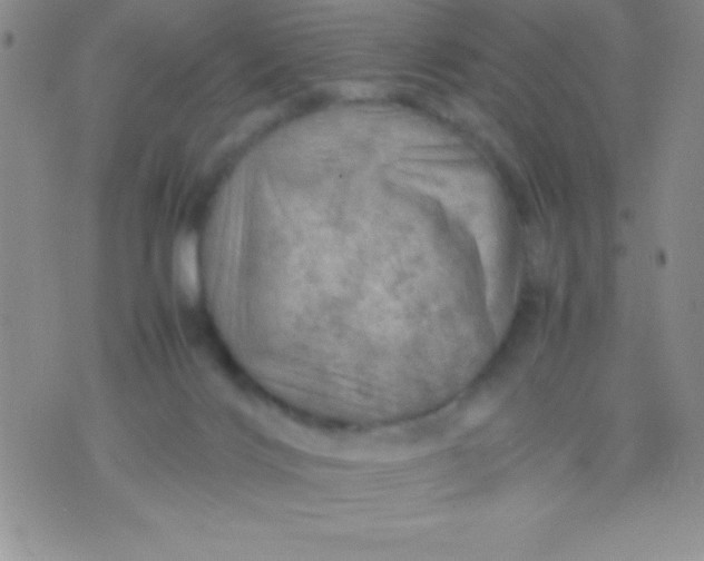 X0000071950028200607282019