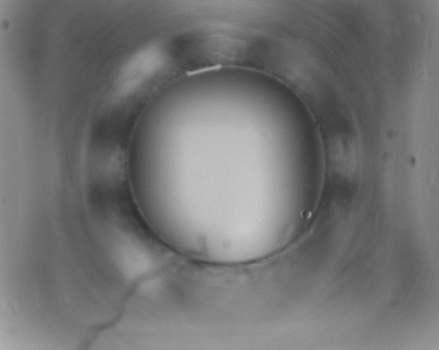 X0000071950029200607282019