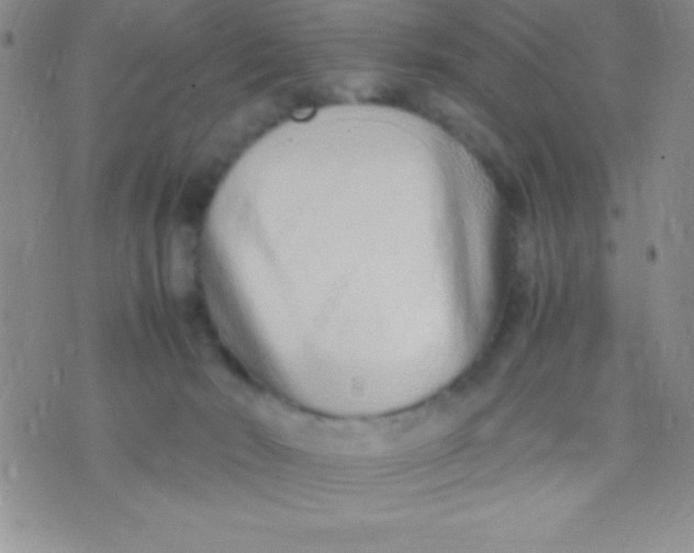 X0000071950030200607282019