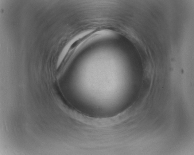 X0000071950031200607282019