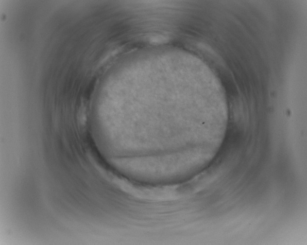 X0000071950032200607282019