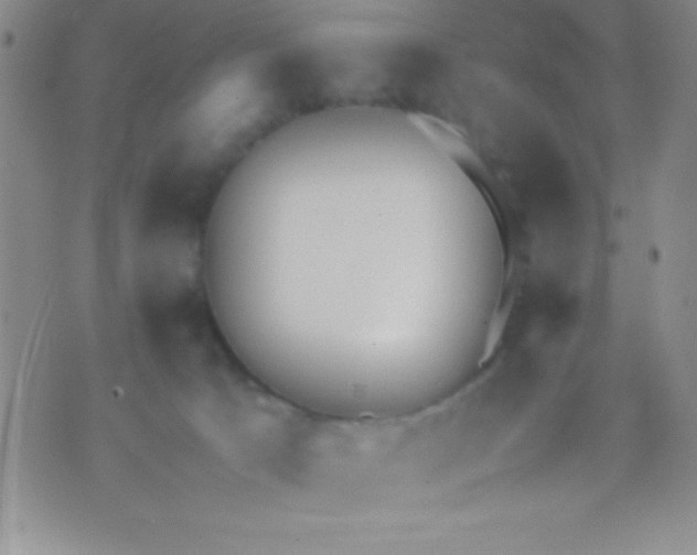 X0000071950033200607282019