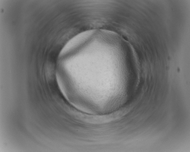 X0000071950034200607282019