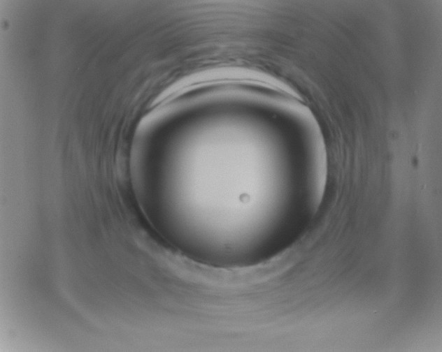 X0000071950035200607282019