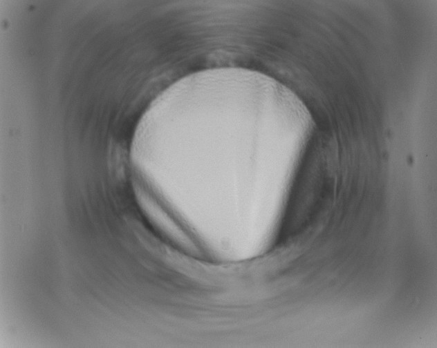 X0000071950038200607282019