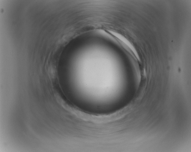 X0000071950039200607282019