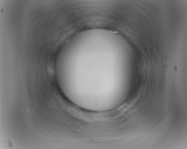 X0000071950040200607282019