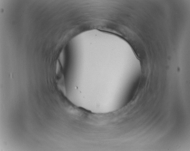 X0000071950041200607282019