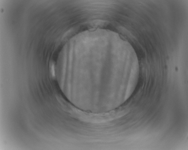 X0000071950042200607282019