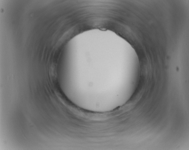 X0000071950044200607282019