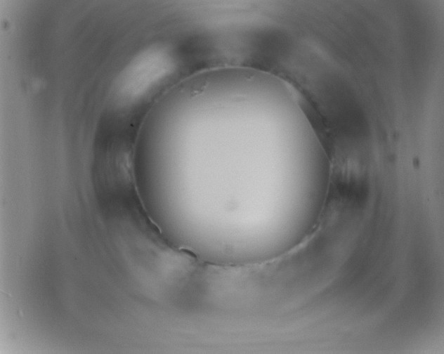 X0000071950045200607282019