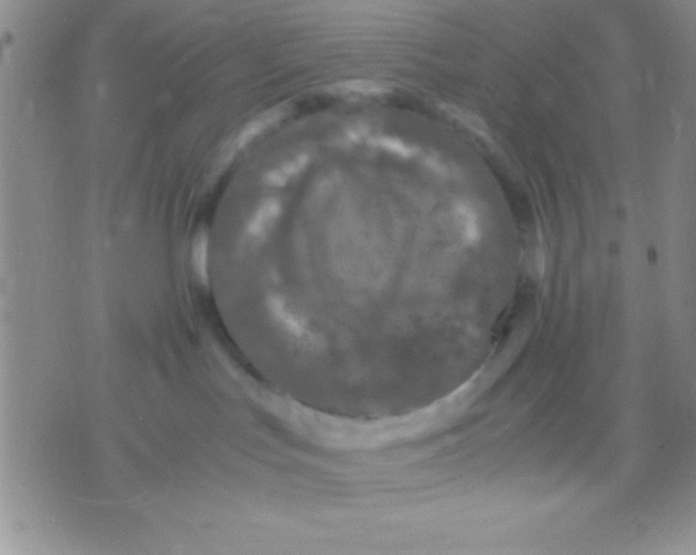 X0000071950047200607282019