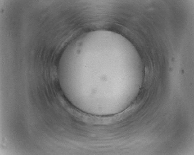 X0000071950048200607282019