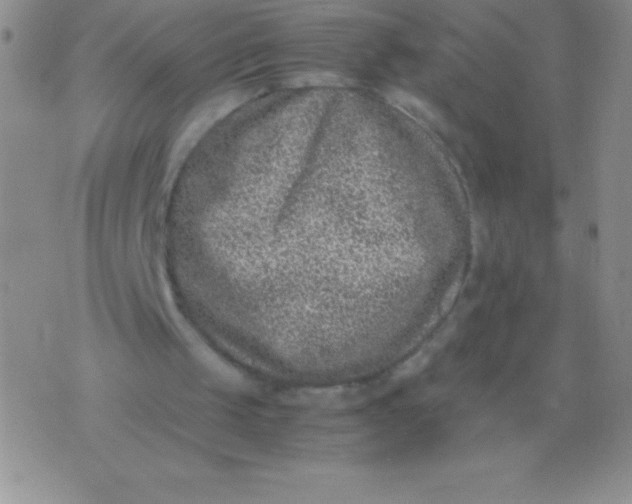 X0000071950049200607282018