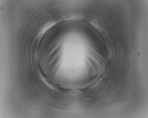 X0000071950050200607282018