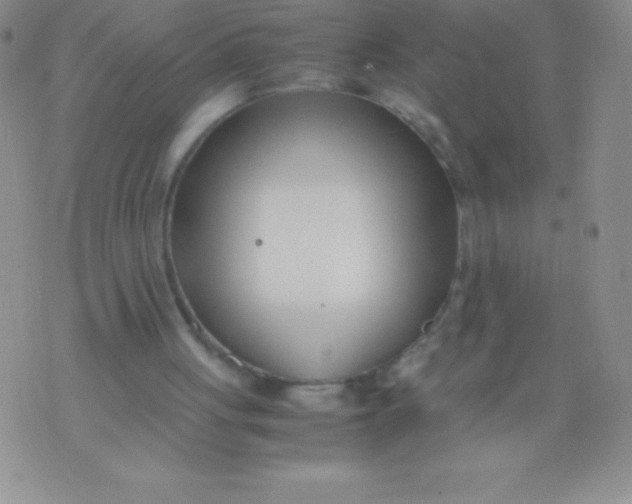 X0000071950051200607282018