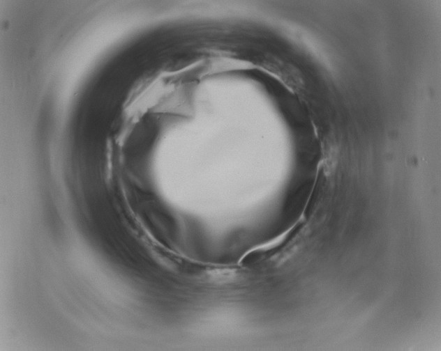 X0000071950052200607282018