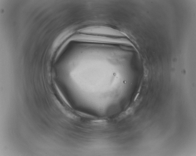 X0000071950053200607282018