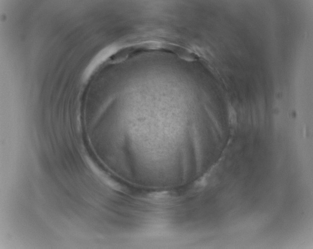 X0000071950054200607282018