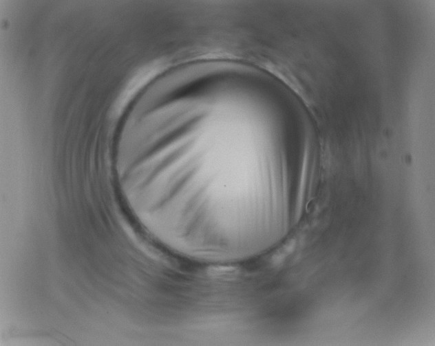 X0000071950055200607282018