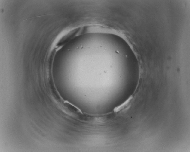 X0000071950056200607282018