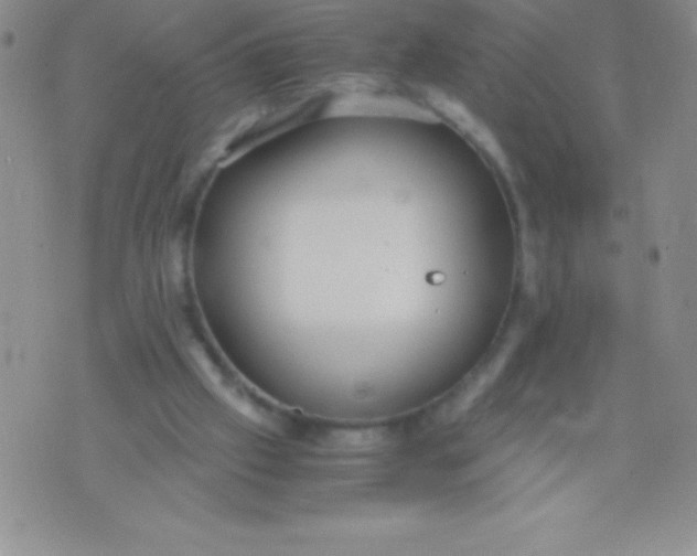 X0000071950057200607282018