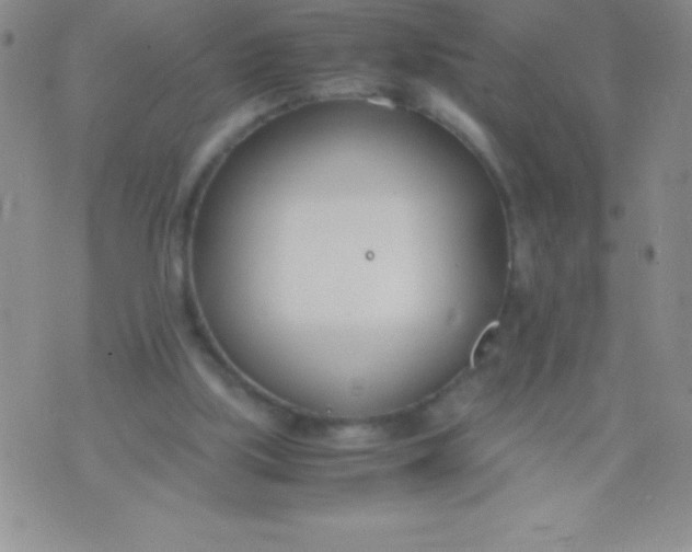 X0000071950059200607282018