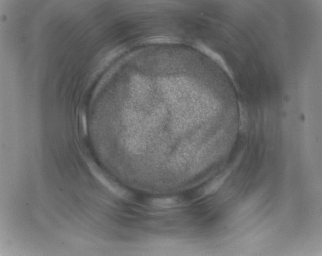 X0000071950061200607282018