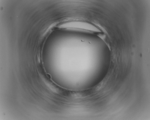 X0000071950062200607282018