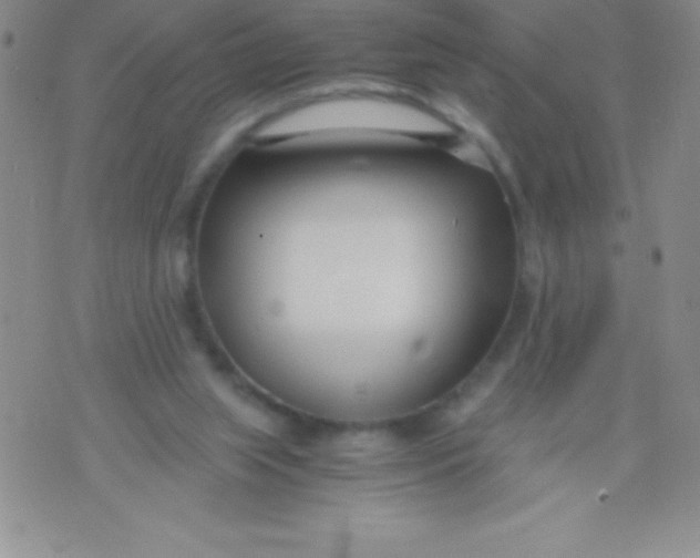 X0000071950063200607282018