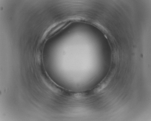 X0000071950064200607282018