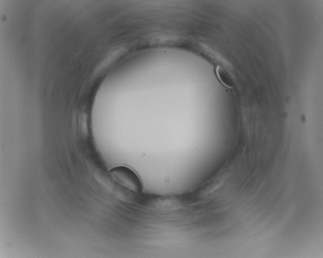 X0000071950067200607282019