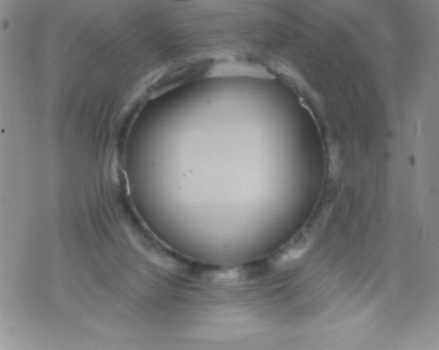 X0000071950068200607282019