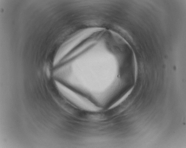 X0000071950069200607282019