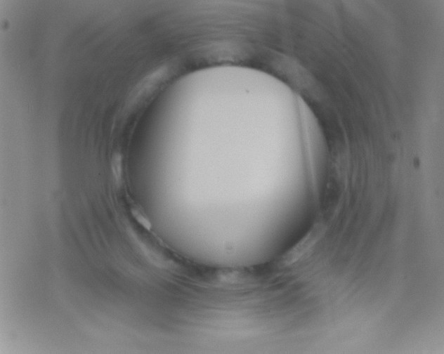 X0000071950070200607282019