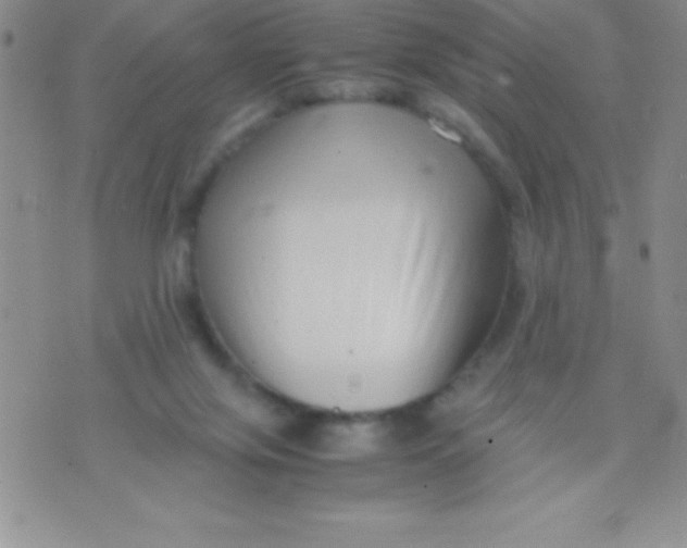 X0000071950071200607282019