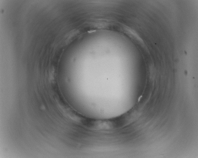 X0000071950073200607282019