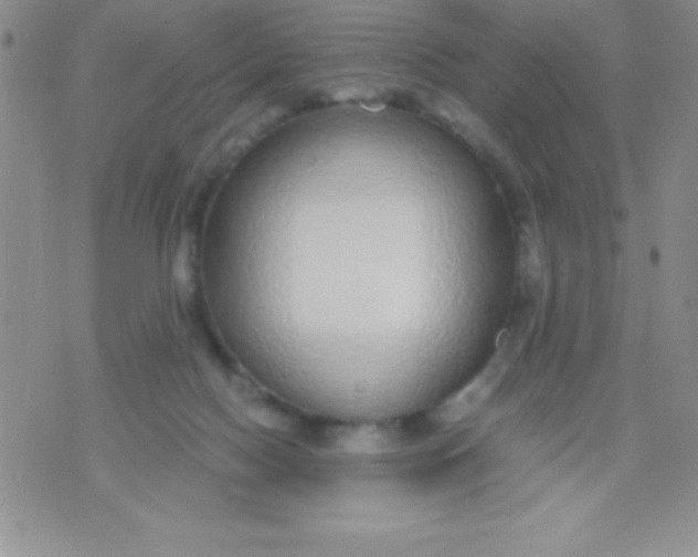 X0000071950074200607282019