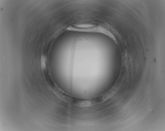 X0000071950075200607282019