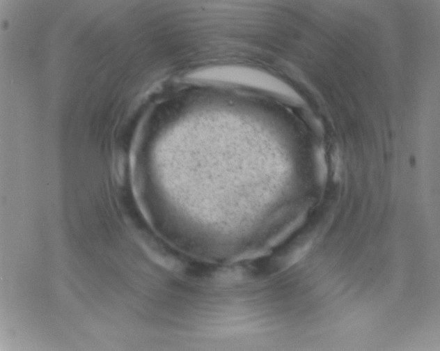 X0000071950076200607282019