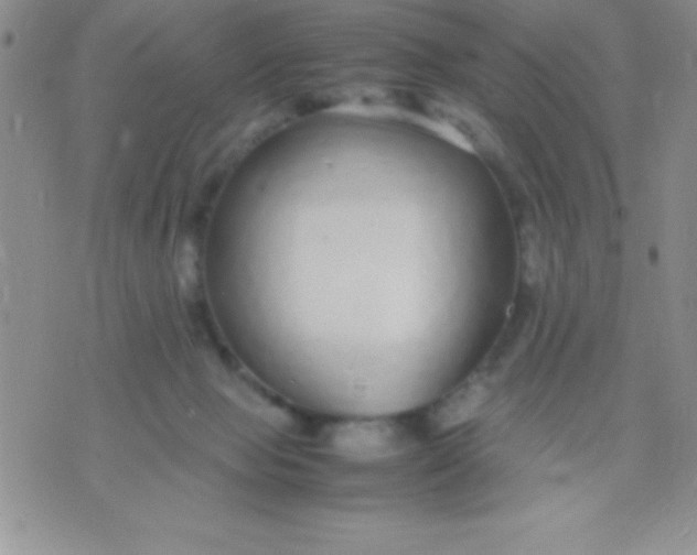 X0000071950077200607282019