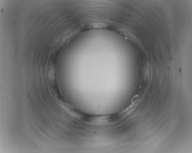 X0000071950078200607282019