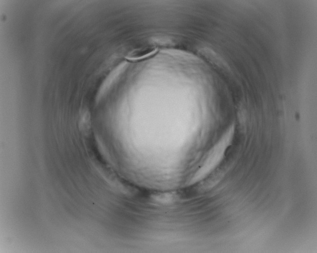 X0000071950079200607282019