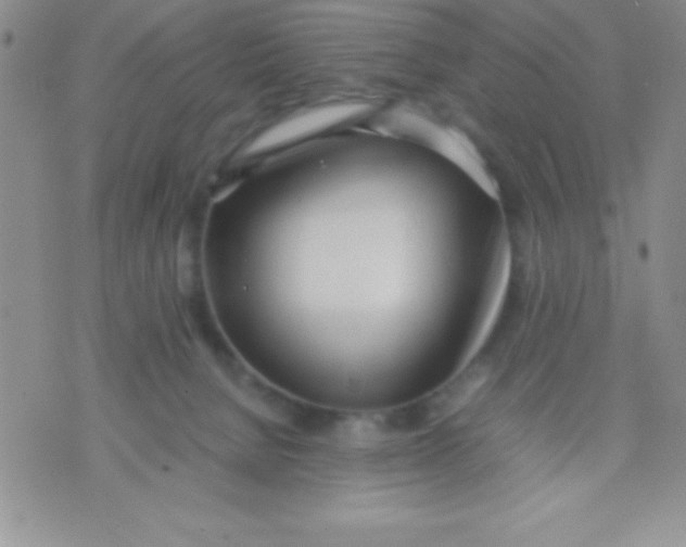 X0000071950080200607282019