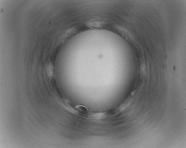 X0000071950081200607282019